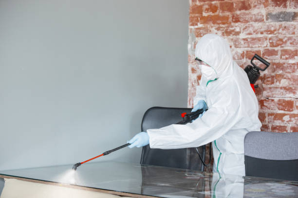 Glouster, OH Mold Removal Services Company